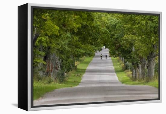 Road Bicycling under a Tunnel of Trees on Rural Road Near Glen Arbor, Michigan, Usa-Chuck Haney-Framed Premier Image Canvas