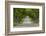 Road Bicycling under a Tunnel of Trees on Rural Road Near Glen Arbor, Michigan, Usa-Chuck Haney-Framed Photographic Print