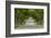 Road Bicycling under a Tunnel of Trees on Rural Road Near Glen Arbor, Michigan, Usa-Chuck Haney-Framed Photographic Print