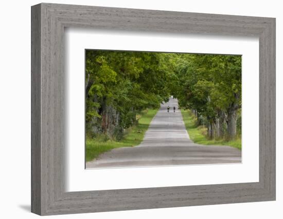 Road Bicycling under a Tunnel of Trees on Rural Road Near Glen Arbor, Michigan, Usa-Chuck Haney-Framed Photographic Print