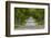 Road Bicycling under a Tunnel of Trees on Rural Road Near Glen Arbor, Michigan, Usa-Chuck Haney-Framed Photographic Print