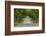 Road Bicycling under a Tunnel of Trees on Rural Road Near Glen Arbor, Michigan, Usa-Chuck Haney-Framed Photographic Print