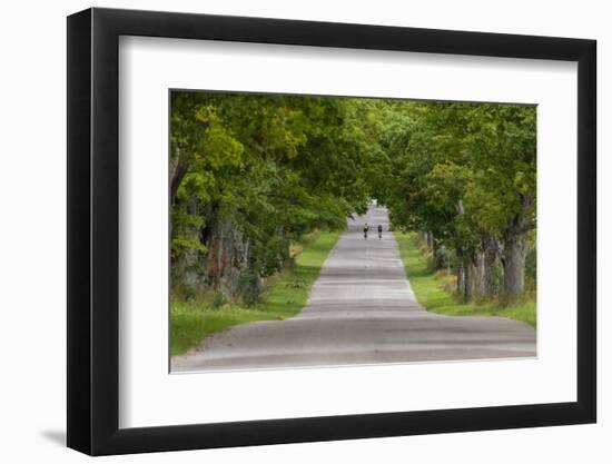 Road Bicycling under a Tunnel of Trees on Rural Road Near Glen Arbor, Michigan, Usa-Chuck Haney-Framed Photographic Print