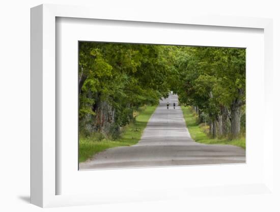 Road Bicycling under a Tunnel of Trees on Rural Road Near Glen Arbor, Michigan, Usa-Chuck Haney-Framed Photographic Print