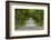 Road Bicycling under a Tunnel of Trees on Rural Road Near Glen Arbor, Michigan, Usa-Chuck Haney-Framed Photographic Print