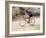 Road Biker in Vail, Colorado, USA-Lee Kopfler-Framed Photographic Print