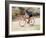 Road Biker in Vail, Colorado, USA-Lee Kopfler-Framed Photographic Print