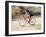 Road Biker in Vail, Colorado, USA-Lee Kopfler-Framed Photographic Print