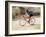 Road Biker in Vail, Colorado, USA-Lee Kopfler-Framed Photographic Print