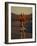 Road Biker, Santa Fe, New Mexico, USA-Lee Kopfler-Framed Photographic Print