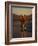 Road Biker, Santa Fe, New Mexico, USA-Lee Kopfler-Framed Photographic Print