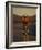 Road Biker, Santa Fe, New Mexico, USA-Lee Kopfler-Framed Photographic Print