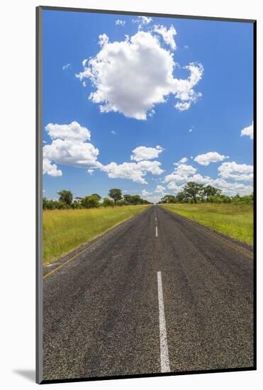Road, Botswana, Africa-Peter Adams-Mounted Photographic Print