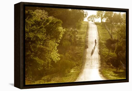 Road Cycling in Texas Hill Country Near Fredericksburg, Texas, Usa-Chuck Haney-Framed Premier Image Canvas