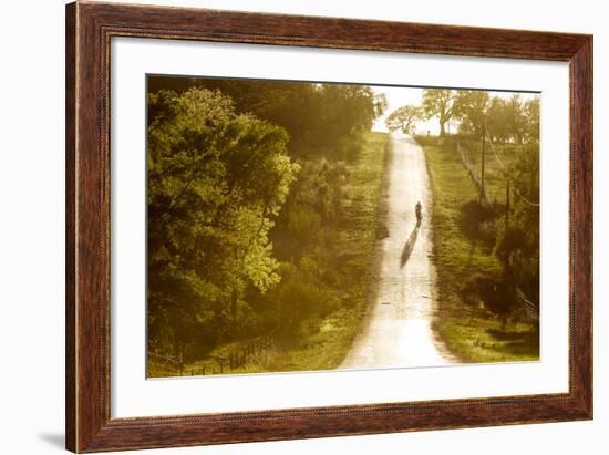 Road Cycling in Texas Hill Country Near Fredericksburg, Texas, Usa-Chuck Haney-Framed Photographic Print