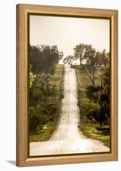 Road Cycling in Texas Hill Country Near Fredericksburg, Texas, Usa-Chuck Haney-Framed Premier Image Canvas