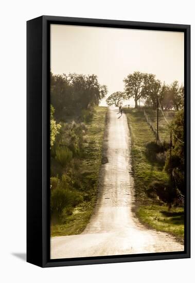 Road Cycling in Texas Hill Country Near Fredericksburg, Texas, Usa-Chuck Haney-Framed Premier Image Canvas