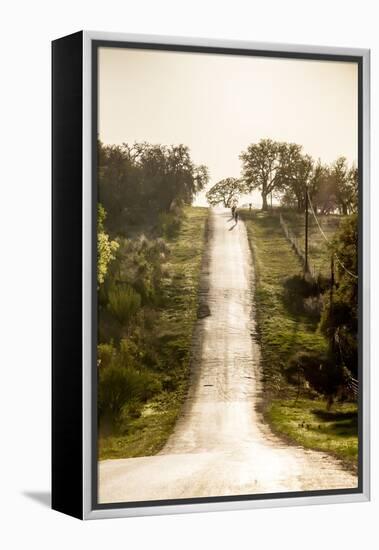 Road Cycling in Texas Hill Country Near Fredericksburg, Texas, Usa-Chuck Haney-Framed Premier Image Canvas