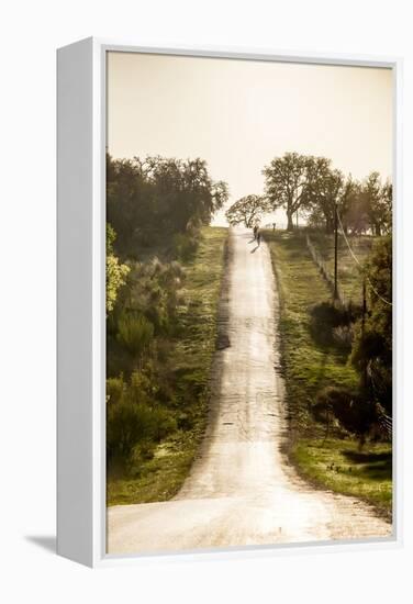 Road Cycling in Texas Hill Country Near Fredericksburg, Texas, Usa-Chuck Haney-Framed Premier Image Canvas