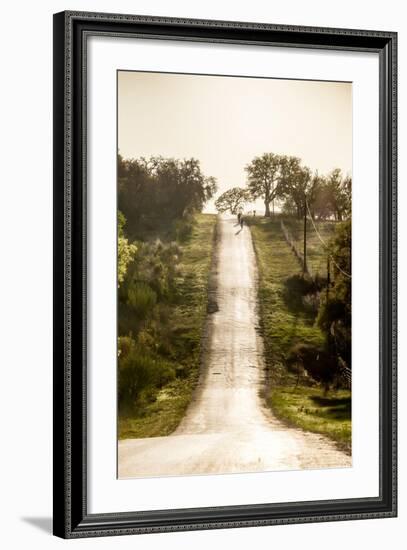 Road Cycling in Texas Hill Country Near Fredericksburg, Texas, Usa-Chuck Haney-Framed Photographic Print