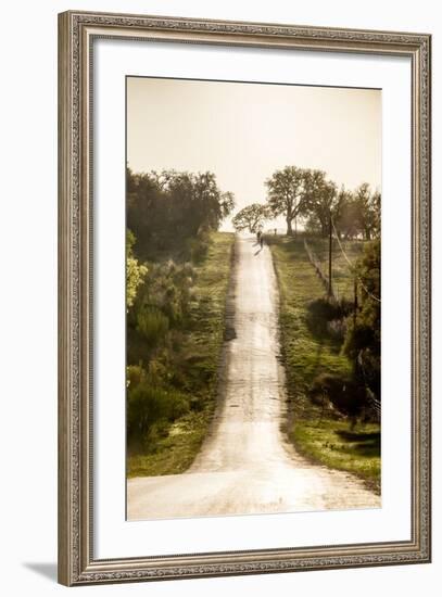 Road Cycling in Texas Hill Country Near Fredericksburg, Texas, Usa-Chuck Haney-Framed Photographic Print