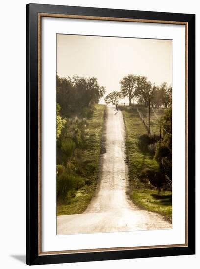 Road Cycling in Texas Hill Country Near Fredericksburg, Texas, Usa-Chuck Haney-Framed Photographic Print