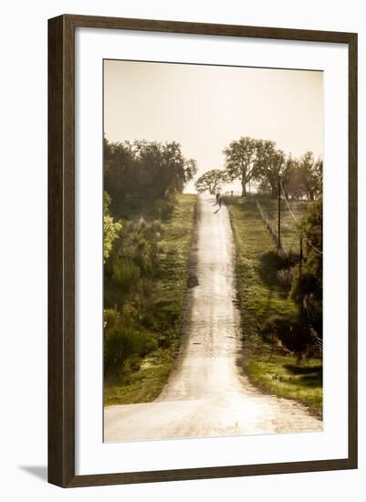 Road Cycling in Texas Hill Country Near Fredericksburg, Texas, Usa-Chuck Haney-Framed Photographic Print