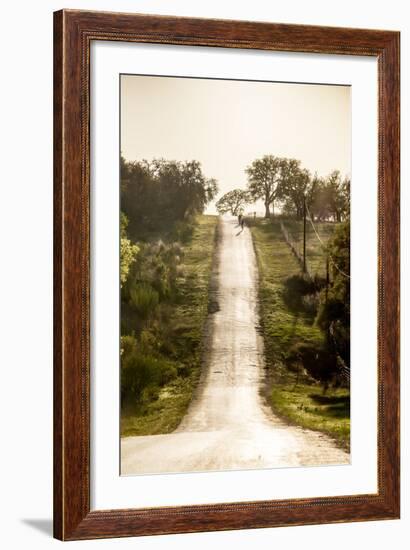 Road Cycling in Texas Hill Country Near Fredericksburg, Texas, Usa-Chuck Haney-Framed Photographic Print