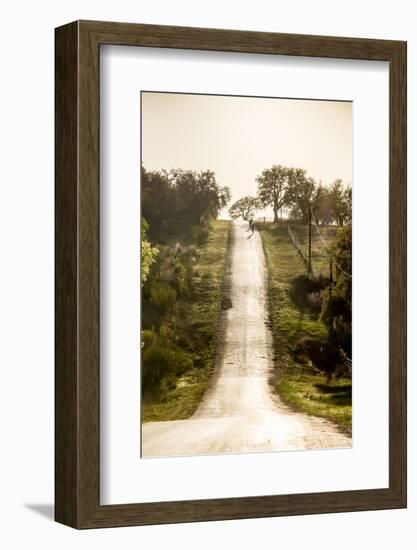 Road Cycling in Texas Hill Country Near Fredericksburg, Texas, Usa-Chuck Haney-Framed Photographic Print