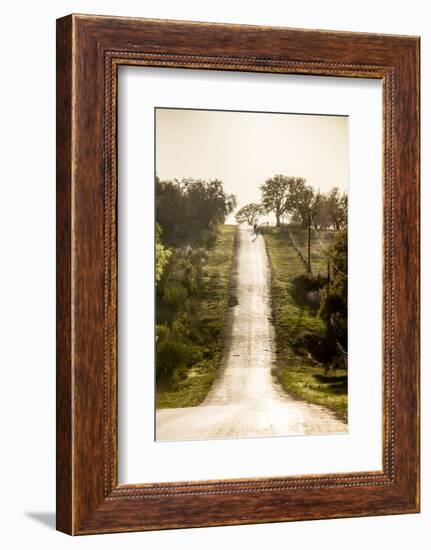 Road Cycling in Texas Hill Country Near Fredericksburg, Texas, Usa-Chuck Haney-Framed Photographic Print