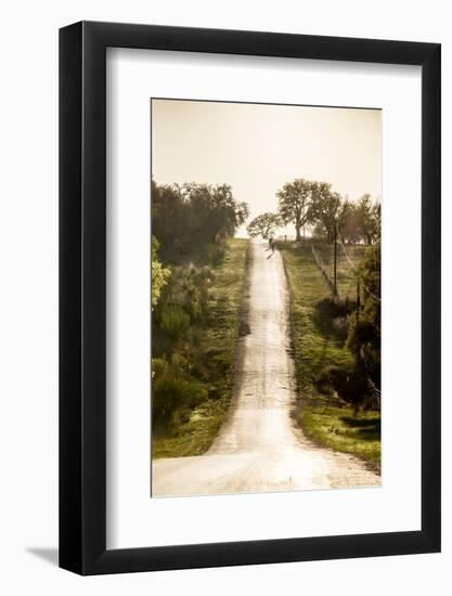 Road Cycling in Texas Hill Country Near Fredericksburg, Texas, Usa-Chuck Haney-Framed Photographic Print