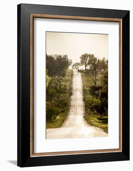 Road Cycling in Texas Hill Country Near Fredericksburg, Texas, Usa-Chuck Haney-Framed Photographic Print