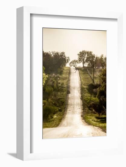 Road Cycling in Texas Hill Country Near Fredericksburg, Texas, Usa-Chuck Haney-Framed Photographic Print