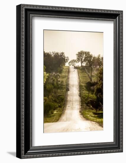 Road Cycling in Texas Hill Country Near Fredericksburg, Texas, Usa-Chuck Haney-Framed Photographic Print