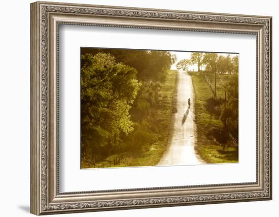 Road Cycling in Texas Hill Country Near Fredericksburg, Texas, Usa-Chuck Haney-Framed Photographic Print