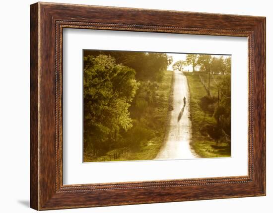 Road Cycling in Texas Hill Country Near Fredericksburg, Texas, Usa-Chuck Haney-Framed Photographic Print