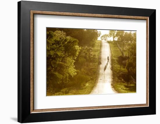 Road Cycling in Texas Hill Country Near Fredericksburg, Texas, Usa-Chuck Haney-Framed Photographic Print