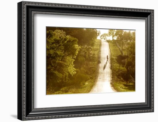 Road Cycling in Texas Hill Country Near Fredericksburg, Texas, Usa-Chuck Haney-Framed Photographic Print