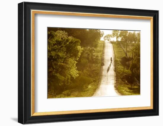 Road Cycling in Texas Hill Country Near Fredericksburg, Texas, Usa-Chuck Haney-Framed Photographic Print