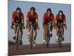 Premium Photographic Print