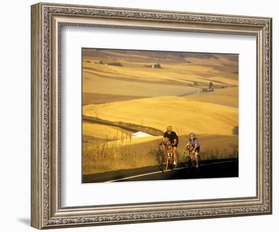 Road Cyclists Biking Through Wheat Harvest, near Pullman, Washington, USA-Chuck Haney-Framed Photographic Print