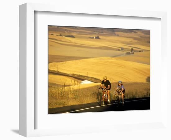 Road Cyclists Biking Through Wheat Harvest, near Pullman, Washington, USA-Chuck Haney-Framed Photographic Print