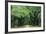 Road Enclosed by Moss-Covered Trees, Charleston, South Carolina, USA-Jaynes Gallery-Framed Photographic Print