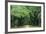 Road Enclosed by Moss-Covered Trees, Charleston, South Carolina, USA-Jaynes Gallery-Framed Photographic Print