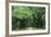 Road Enclosed by Moss-Covered Trees, Charleston, South Carolina, USA-Jaynes Gallery-Framed Photographic Print