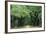 Road Enclosed by Moss-Covered Trees, Charleston, South Carolina, USA-Jaynes Gallery-Framed Photographic Print