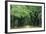 Road Enclosed by Moss-Covered Trees, Charleston, South Carolina, USA-Jaynes Gallery-Framed Photographic Print