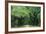 Road Enclosed by Moss-Covered Trees, Charleston, South Carolina, USA-Jaynes Gallery-Framed Photographic Print