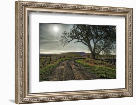 Road entering the Flint Hills of Kansas-Michael Scheufler-Framed Photographic Print