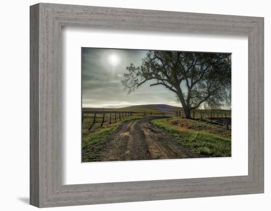 Road entering the Flint Hills of Kansas-Michael Scheufler-Framed Photographic Print